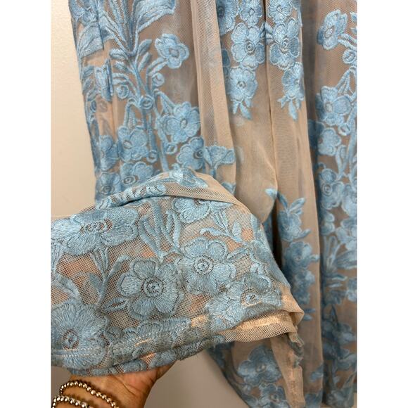 For Love And Lemons Sheer Blue and Tan Maxi Dress - Picture 4 of 13